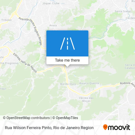Rua Wilson Ferreira Pinto map