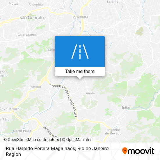 Rua Haroldo Pereira Magalhaes map