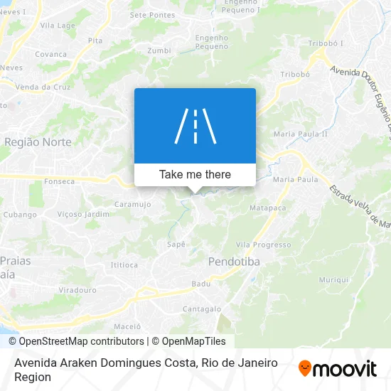 Avenida Araken Domingues Costa map