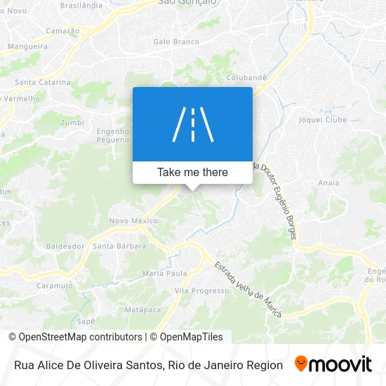 Rua Alice De Oliveira Santos map