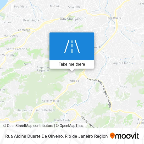 Rua Alcina Duarte De Oliveiro map