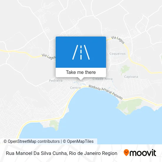 Rua Manoel Da Silva Cunha map