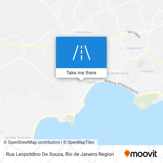 Rua Leopoldino De Souza map