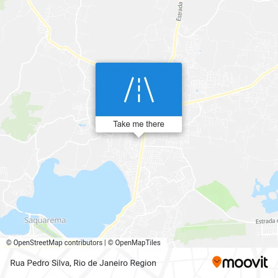 Rua Pedro Silva map