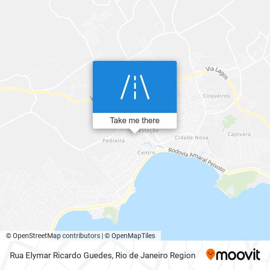 Rua Elymar Ricardo Guedes map