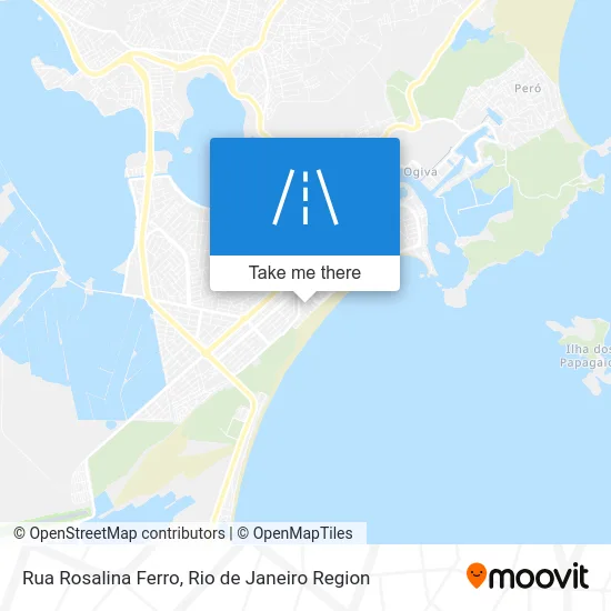 Rua Rosalina Ferro map