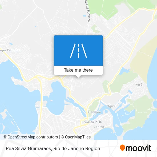 Rua Silvia Guimaraes map