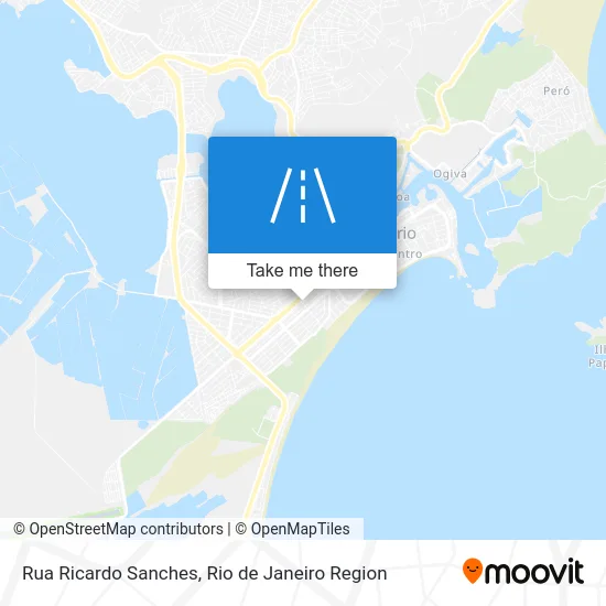 Rua Ricardo Sanches map