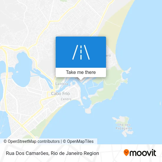 Rua Dos Camarões map