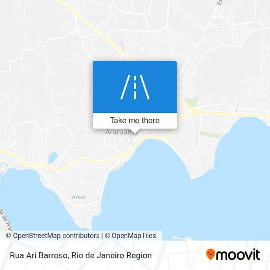 Rua Ari Barroso map