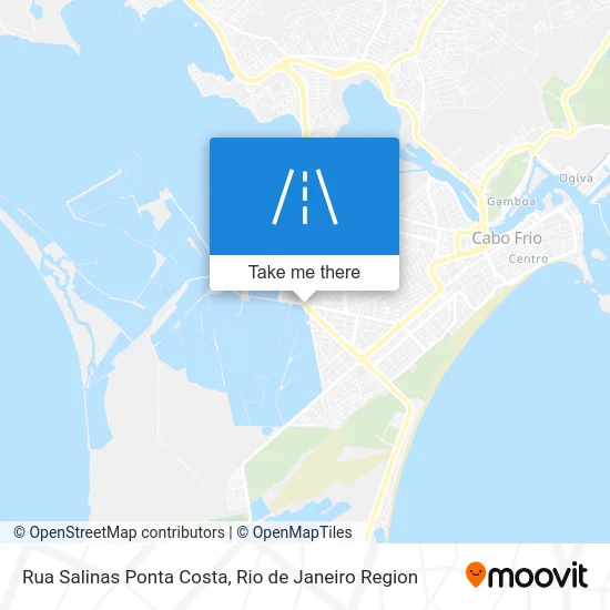 Rua Salinas Ponta Costa map