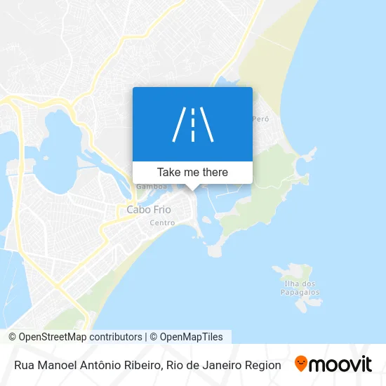 Rua Manoel Antônio Ribeiro map