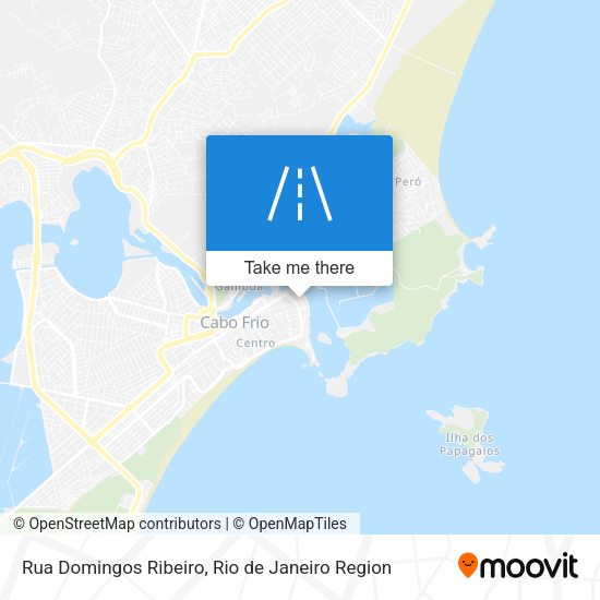 Rua Domingos Ribeiro map