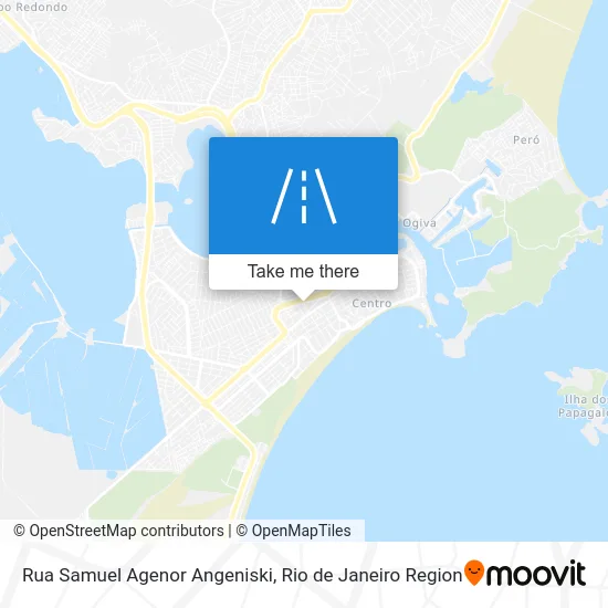 Rua Samuel Agenor Angeniski map
