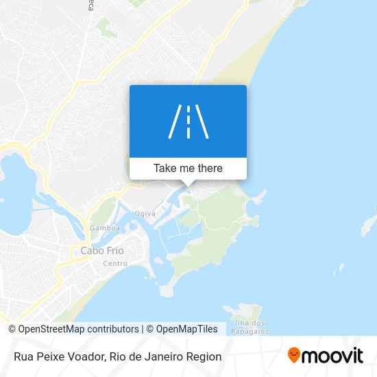 Rua Peixe Voador map