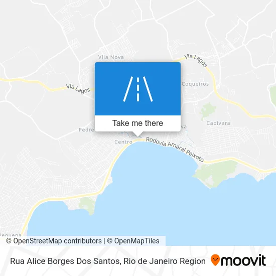 Rua Alice Borges Dos Santos map