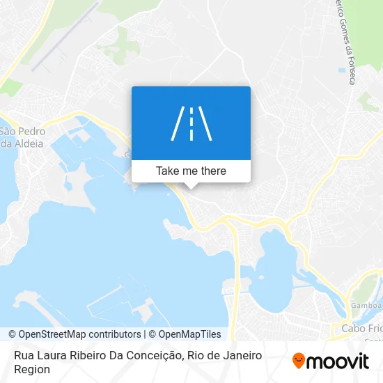 Rua Laura Ribeiro Da Conceição map