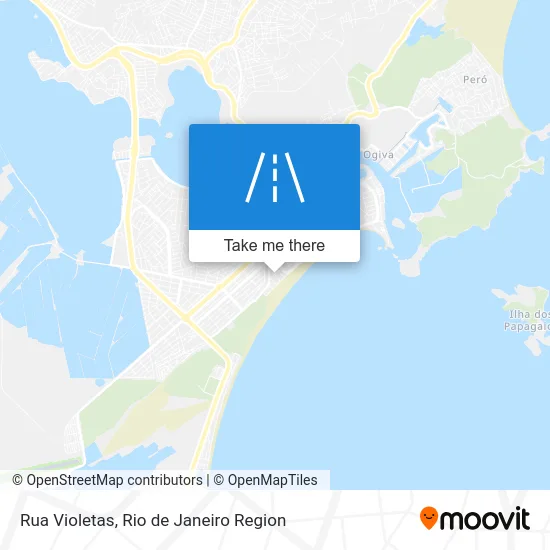 Rua Violetas map
