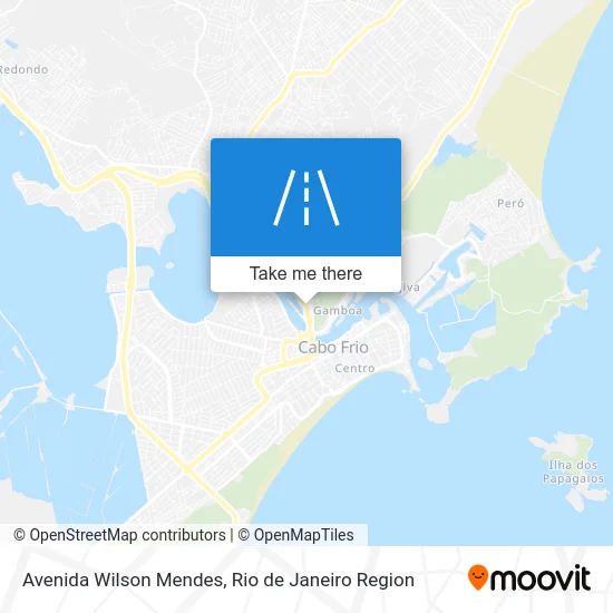 Avenida Wilson Mendes map