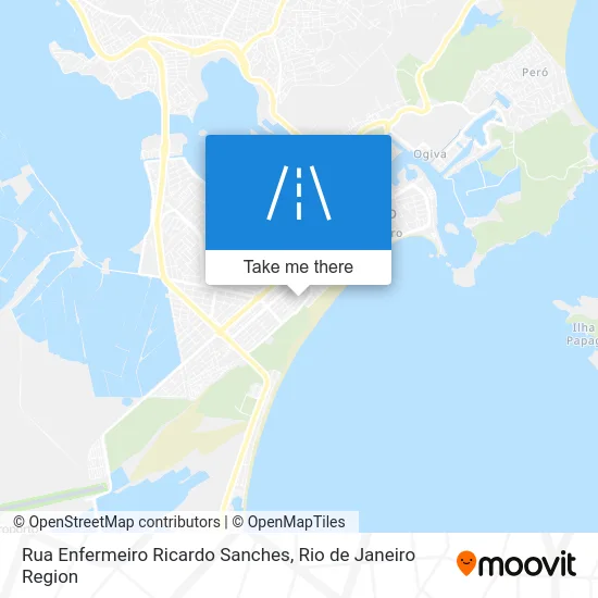 Rua Enfermeiro Ricardo Sanches map