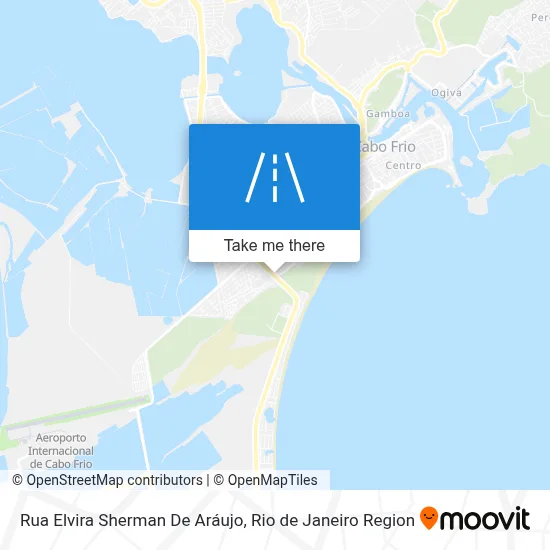 Rua Elvira Sherman De Aráujo map