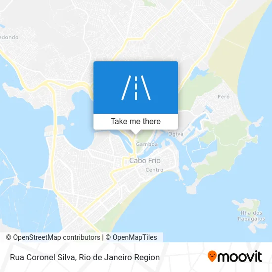 Rua Coronel Silva map