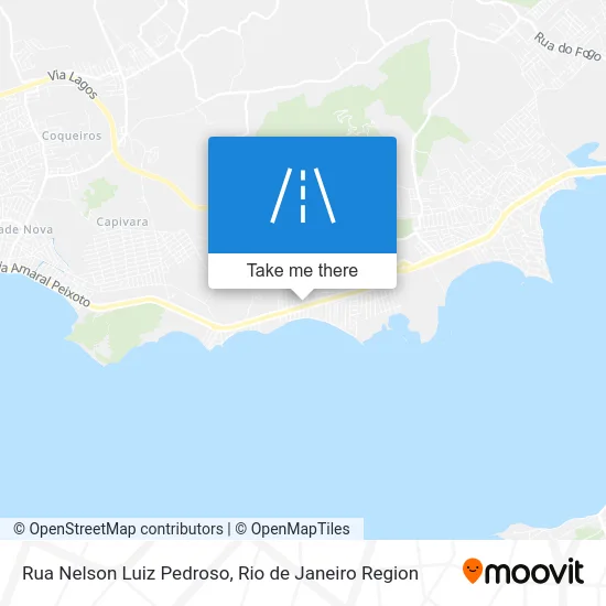 Rua Nelson Luiz Pedroso map