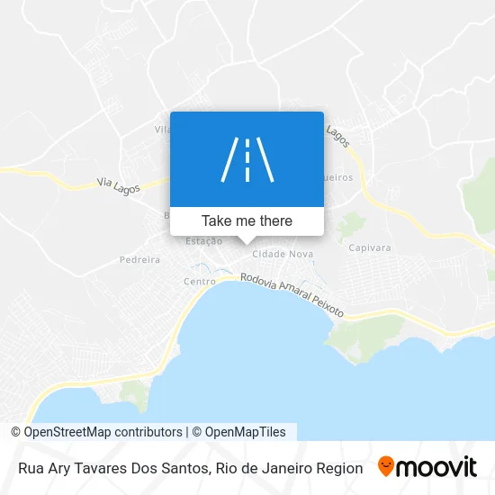 Rua Ary Tavares Dos Santos map