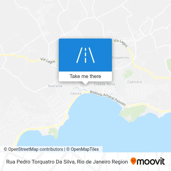 Rua Pedro Torquatro Da Silva map