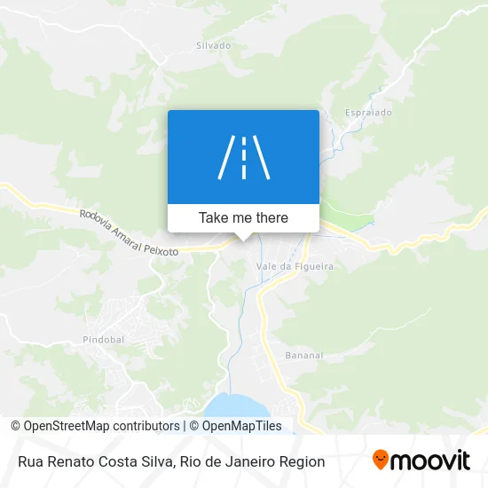 Rua Renato Costa Silva map