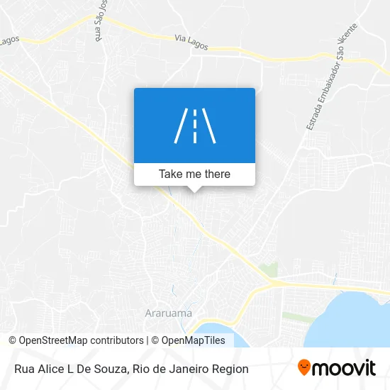 Rua Alice L De Souza map