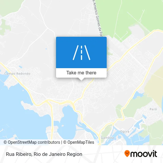 Rua Ribeiro map