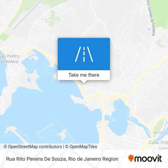 Rua Rito Pereira De Souza map