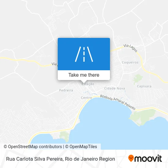Rua Carlota Silva Pereira map