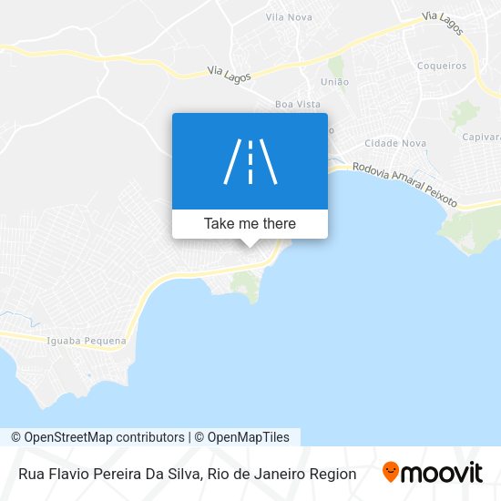 Rua Flavio Pereira Da Silva map