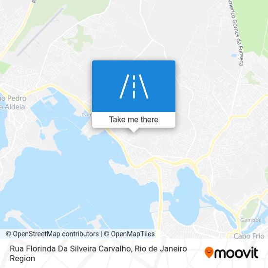 Rua Florinda Da Silveira Carvalho map