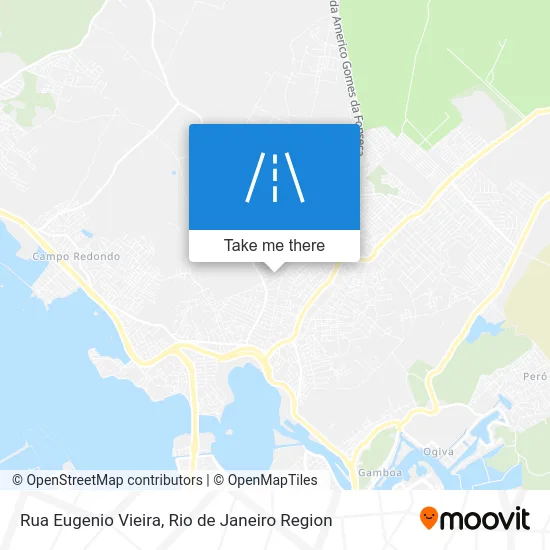Rua Eugenio Vieira map