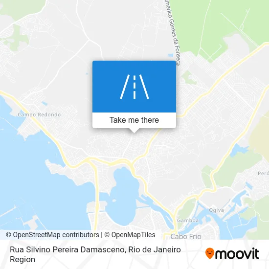 Rua Silvino Pereira Damasceno map