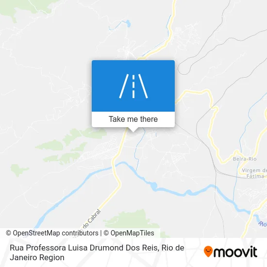 Rua Professora Luisa Drumond Dos Reis map
