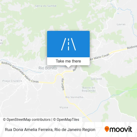 Rua Dona Amelia Ferreira map