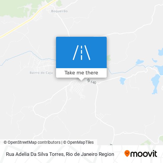 Rua Adelia Da Silva Torres map