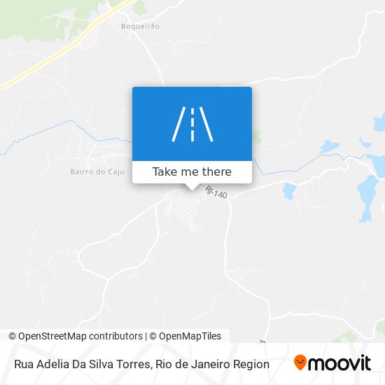 Mapa Rua Adelia Da Silva Torres