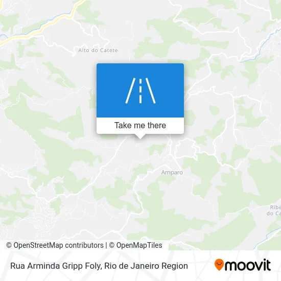 Rua Arminda Gripp Foly map