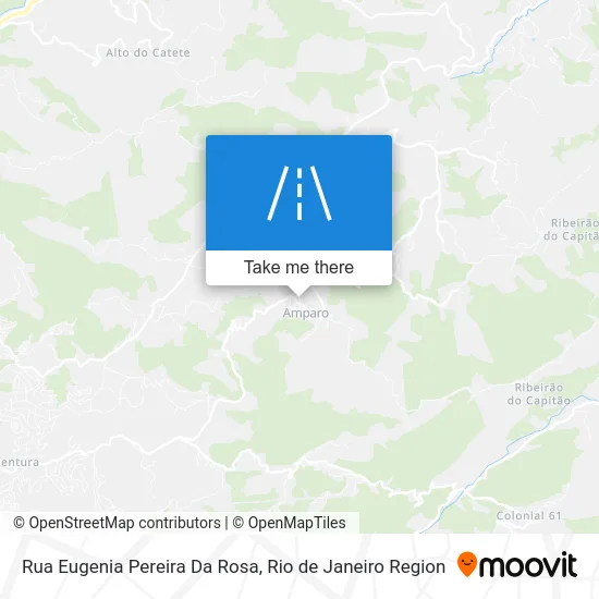 Rua Eugenia Pereira Da Rosa map
