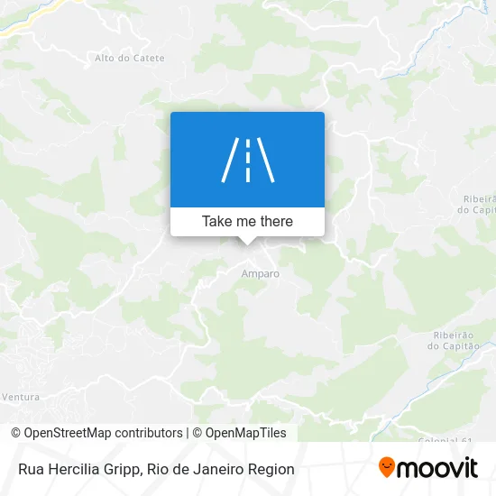 Rua Hercilia Gripp map