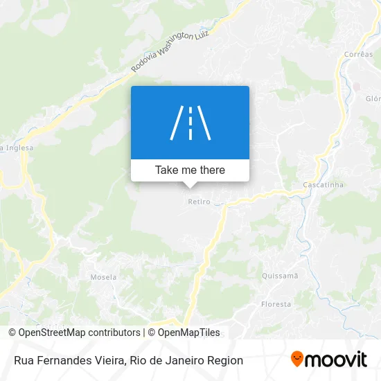 Rua Fernandes Vieira map