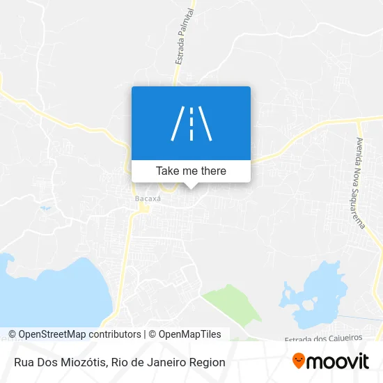 Rua Dos Miozótis map