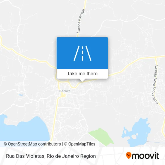 Rua Das Violetas map