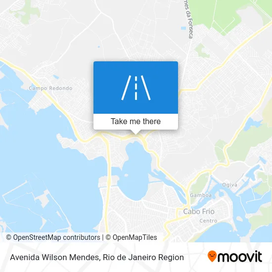 Avenida Wilson Mendes map