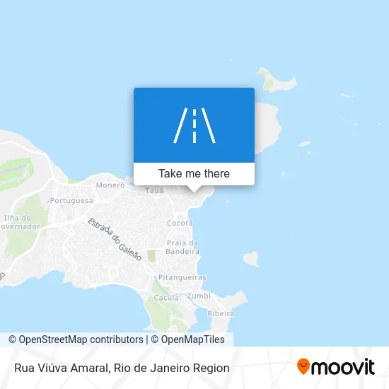 Rua Viúva Amaral map